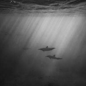 免费的插B爱爱全过程
